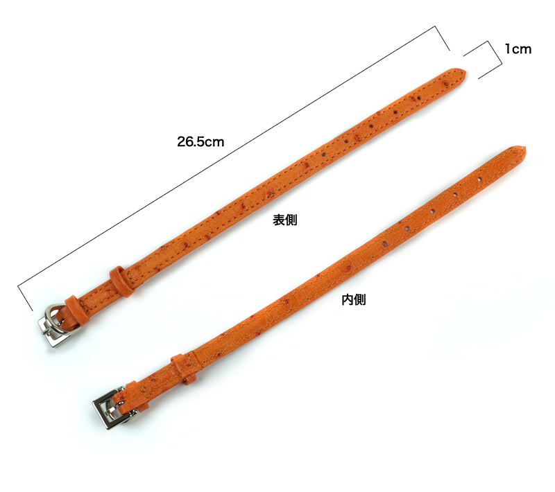 TP-AS-2282-Rj