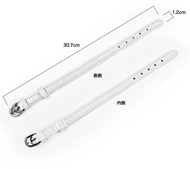 TP-AM-1482-1P