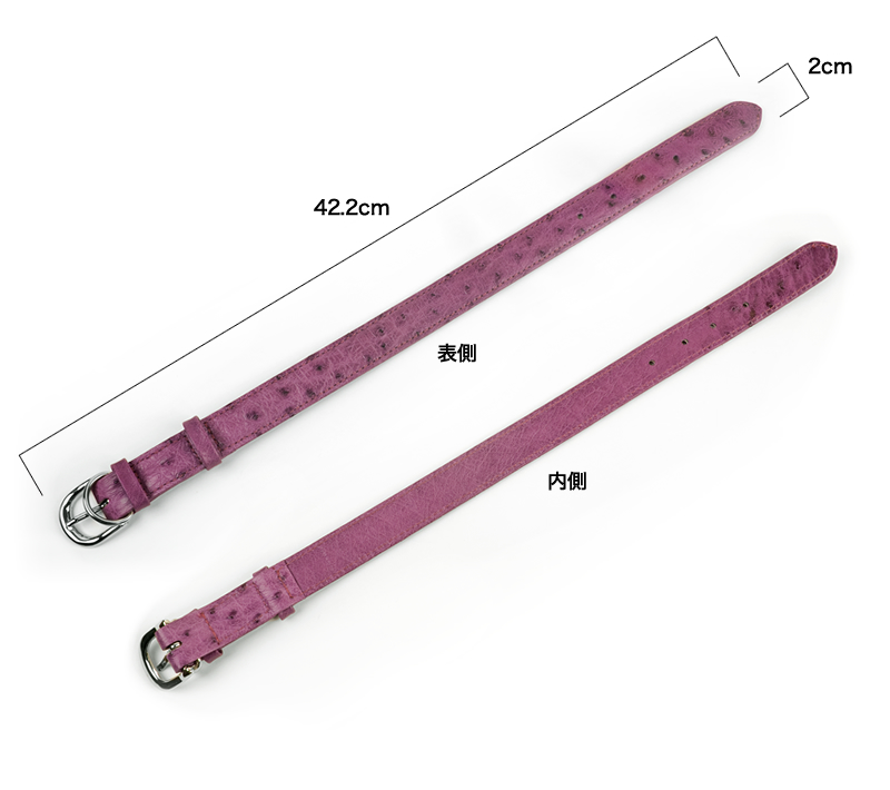 TP-ALL-2282-L