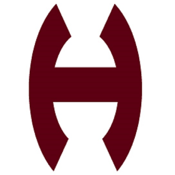 センザンコウ【穿山甲】ハンドバッグ センザンコウ 穿山甲 ハンドバッグ 【希少】 エキゾチックレザー